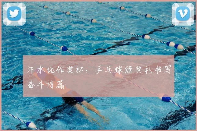 汗水化作奖杯,乒乓球颁奖礼书写奋斗诗篇