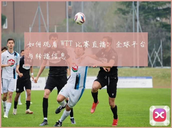 如何观看 WTT 比赛直播：全球平台与转播信息
