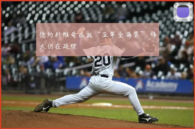 德约科维奇成就“亚军全满贯” 伟大仍在延续