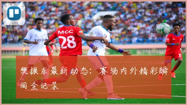 樊振东最新动态：赛场内外精彩瞬间全记录