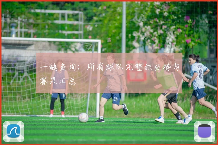 一键查询：所有球队完整积分榜与赛果汇总