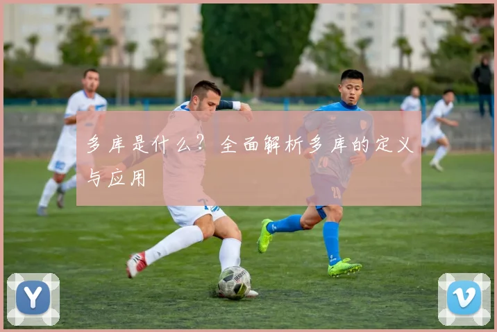 多库是什么？全面解析多库的定义与应用