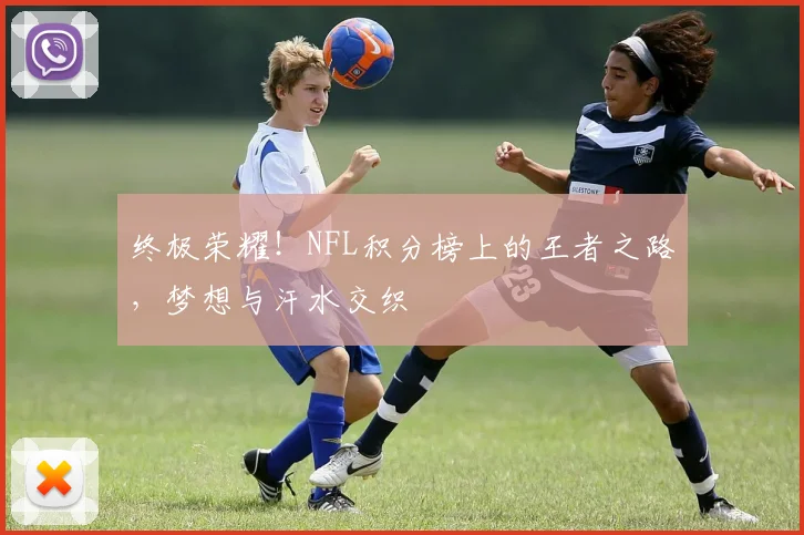 终极荣耀！NFL积分榜上的王者之路，梦想与汗水交织