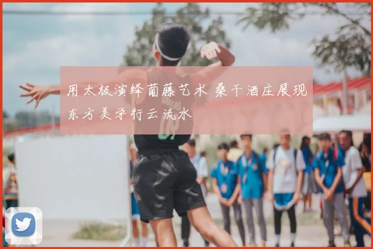 用太极演绎葡藤艺术 桑干酒庄展现东方美学行云流水
